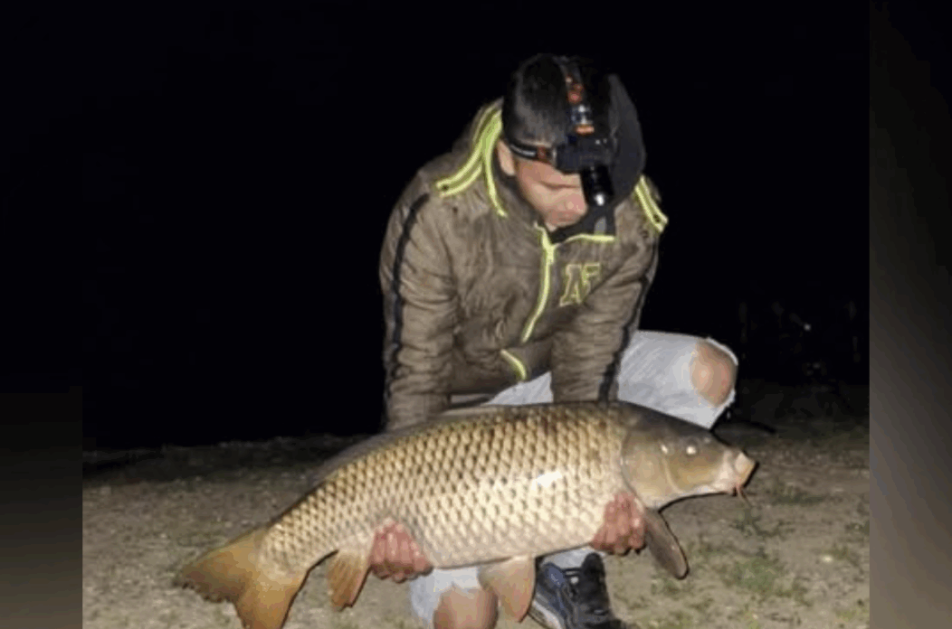 Fabian Oršuš Fabian Oršuš