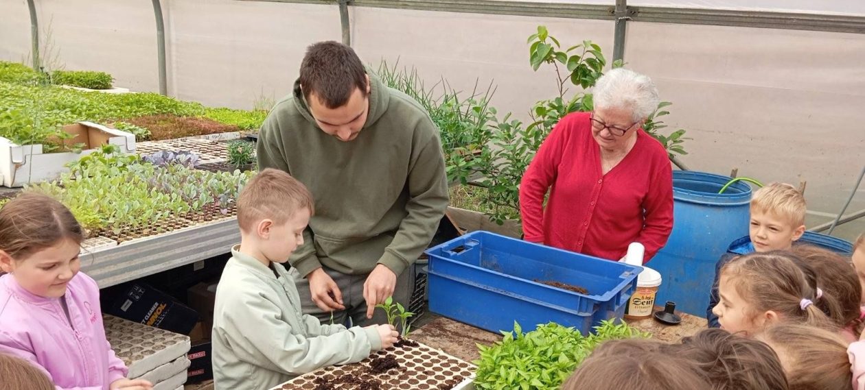 Djeca iz skupine Pingvini posjetila Kristoš gospodarstvo i učila o uzgoju povrća (2)