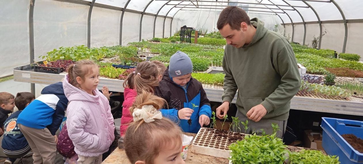 Djeca iz skupine Pingvini posjetila Kristoš gospodarstvo i učila o uzgoju povrća (3)