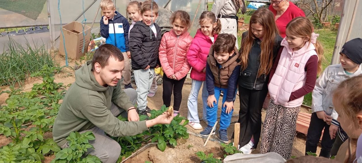 Djeca iz skupine Pingvini posjetila Kristoš gospodarstvo i učila o uzgoju povrća (4)