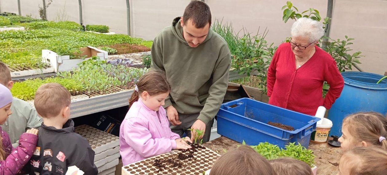 Djeca iz skupine Pingvini posjetila Kristoš gospodarstvo i učila o uzgoju povrća (5)