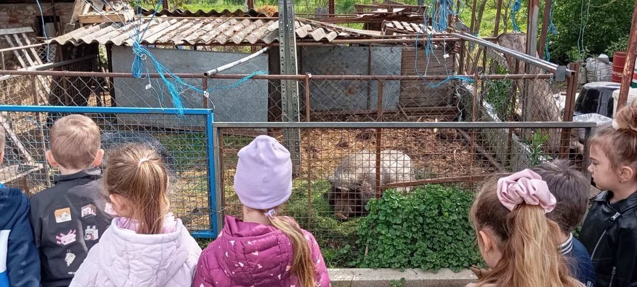 Djeca iz skupine Pingvini posjetila Kristoš gospodarstvo i učila o uzgoju povrća (8)