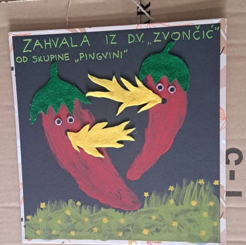 Djeca iz skupine Pingvini posjetila Kristoš gospodarstvo i učila o uzgoju povrća (9)