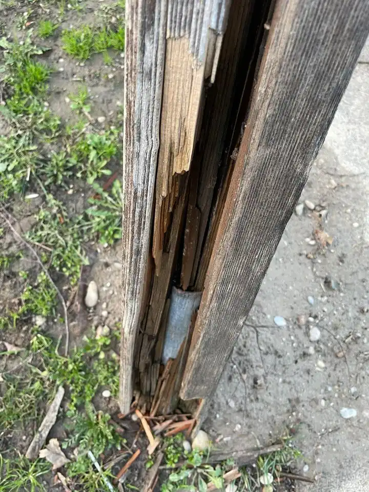 Dječje igralište u Perivoju Zrinski (1)