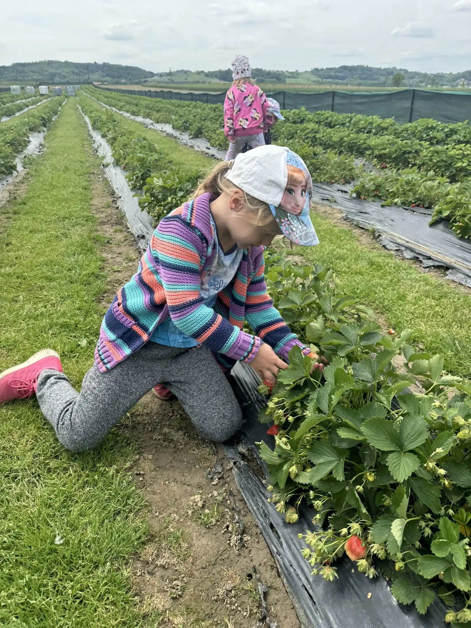 Dječji vrtić Ribica (4)