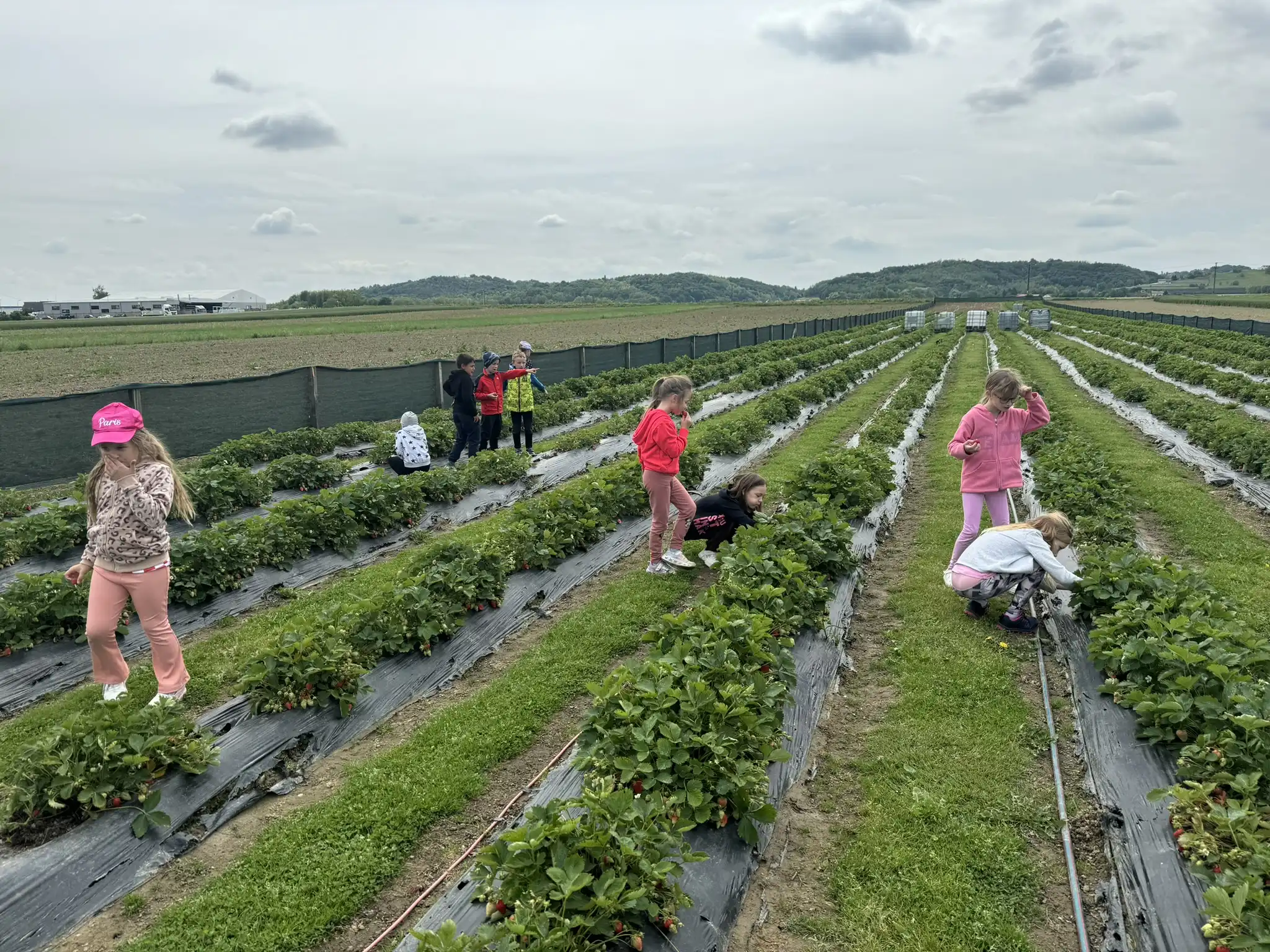 Dječji vrtić Ribica (6)