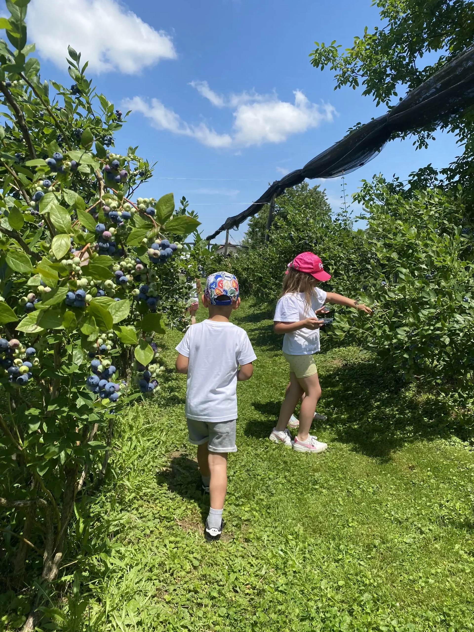 Dječji vrtić Žabnik (5) Dječji vrtić Žabnik (5)