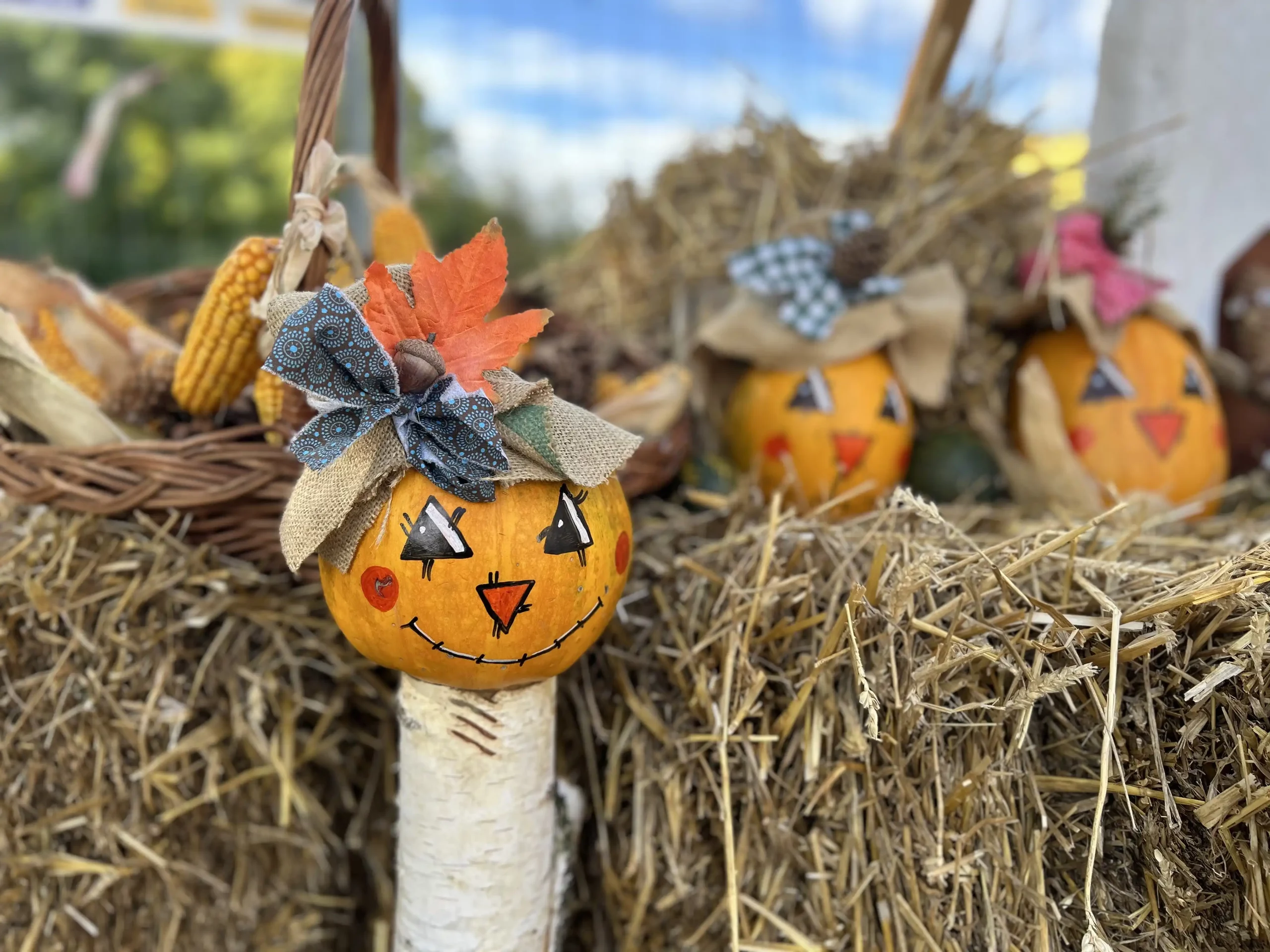 Dječji vrtić Žibeki (5)