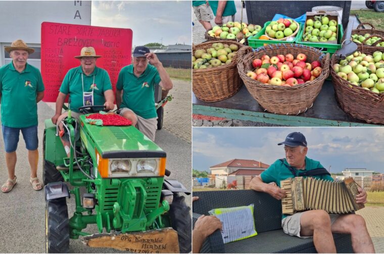 Dobranić, stare sorte jabuka, Sveti Martin na Muri