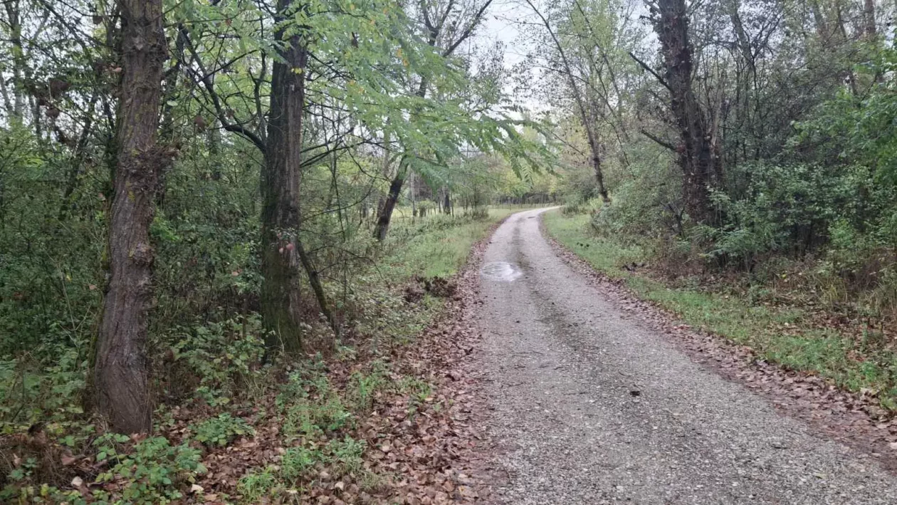 Dobravske gorice, Đurenko Strasse, Donja Dubrava, Vladimir Hajdinjak, Antun Benko (1) Dobravske gorice, Đurenko Strasse, Donja Dubrava, Vladimir Hajdinjak, Antun Benko (1)