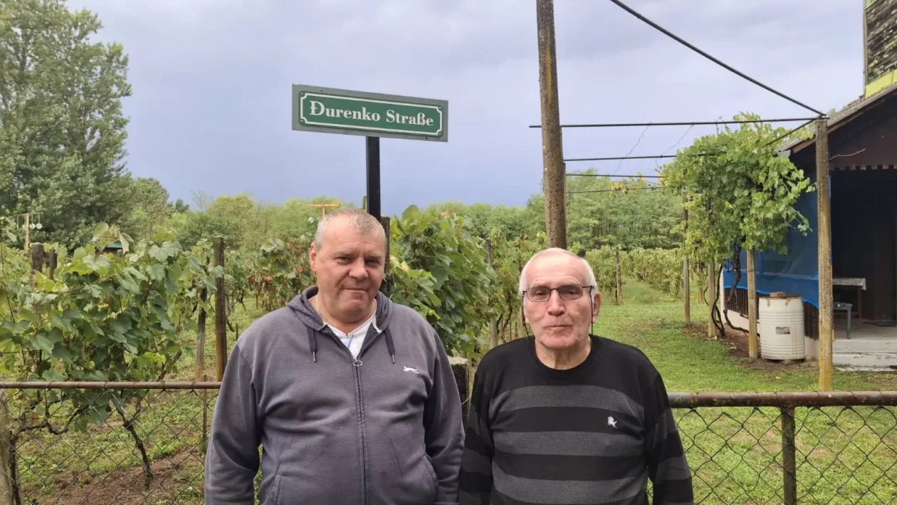 Dobravske gorice, Đurenko Strasse, Donja Dubrava, Vladimir Hajdinjak, Antun Benko (12) Dobravske gorice, Đurenko Strasse, Donja Dubrava, Vladimir Hajdinjak, Antun Benko (12)