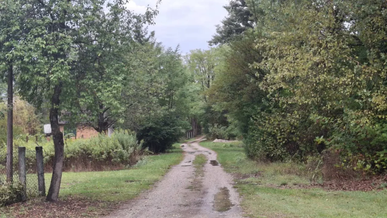 Dobravske gorice, Đurenko Strasse, Donja Dubrava, Vladimir Hajdinjak, Antun Benko (15) Dobravske gorice, Đurenko Strasse, Donja Dubrava, Vladimir Hajdinjak, Antun Benko (15)
