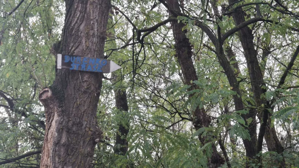 Dobravske gorice, Đurenko Strasse, Donja Dubrava, Vladimir Hajdinjak, Antun Benko (2) Dobravske gorice, Đurenko Strasse, Donja Dubrava, Vladimir Hajdinjak, Antun Benko (2)