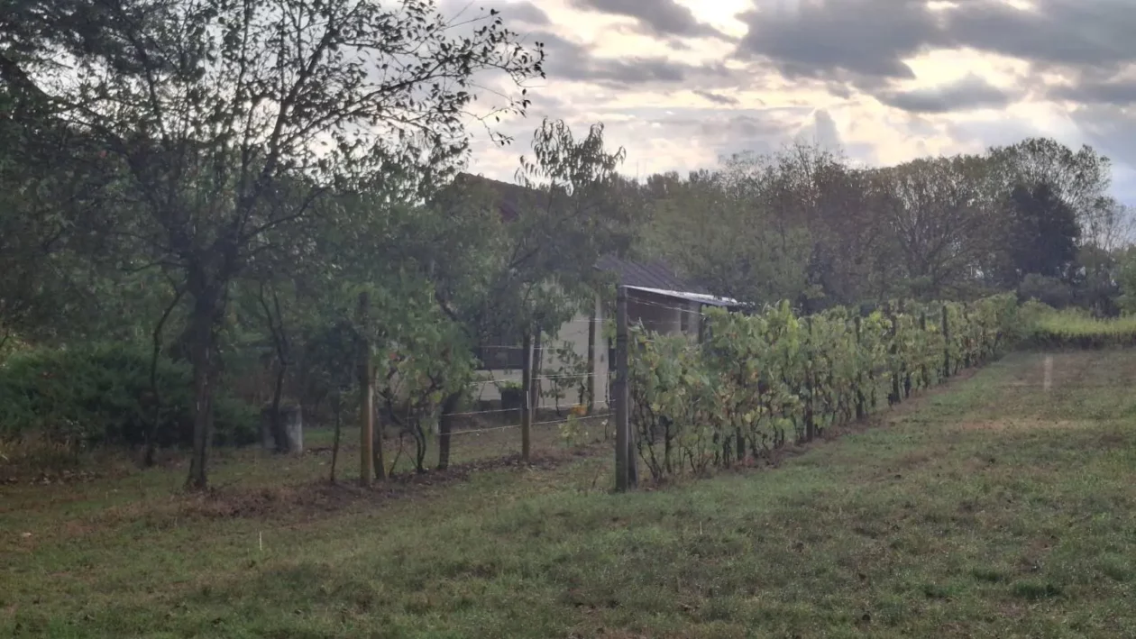 Dobravske gorice, Đurenko Strasse, Donja Dubrava, Vladimir Hajdinjak, Antun Benko (3) Dobravske gorice, Đurenko Strasse, Donja Dubrava, Vladimir Hajdinjak, Antun Benko (3)