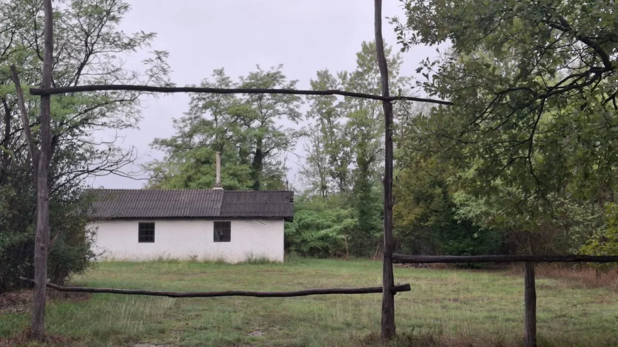 Dobravske gorice, Đurenko Strasse, Donja Dubrava, Vladimir Hajdinjak, Antun Benko (4) Dobravske gorice, Đurenko Strasse, Donja Dubrava, Vladimir Hajdinjak, Antun Benko (4)