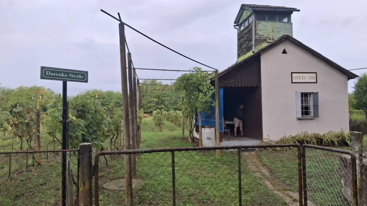 Dobravske gorice, Đurenko Strasse, Donja Dubrava, Vladimir Hajdinjak, Antun Benko (6) Dobravske gorice, Đurenko Strasse, Donja Dubrava, Vladimir Hajdinjak, Antun Benko (6)