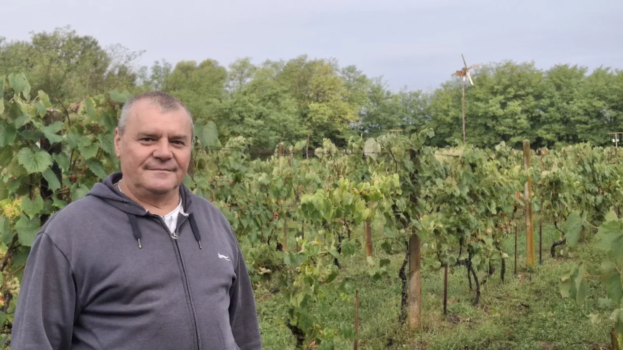 Dobravske gorice, Đurenko Strasse, Donja Dubrava, Vladimir Hajdinjak, Antun Benko (8) Dobravske gorice, Đurenko Strasse, Donja Dubrava, Vladimir Hajdinjak, Antun Benko (8)