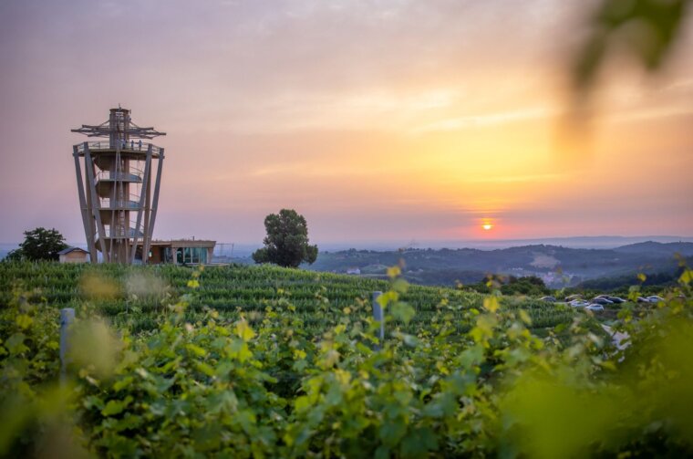 Mađerkin breg, Štrigova