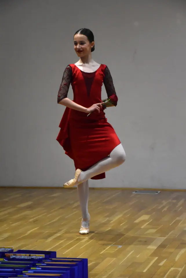 Dodjela nagrada, nagrađeni učenici, Čakovec, nadareni učenici (38)