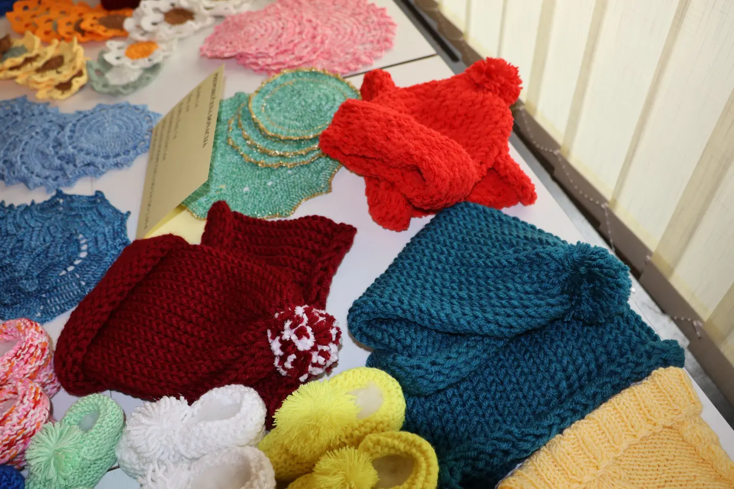 Dom za starije, ručni rad, Sofija (9)