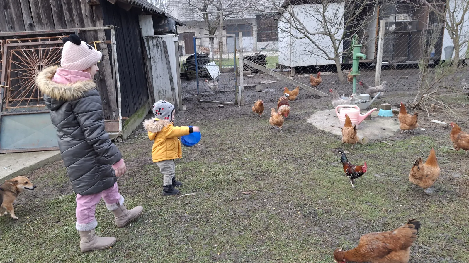 Domagoj Žeželj, Draškovec, male životinje (13)
