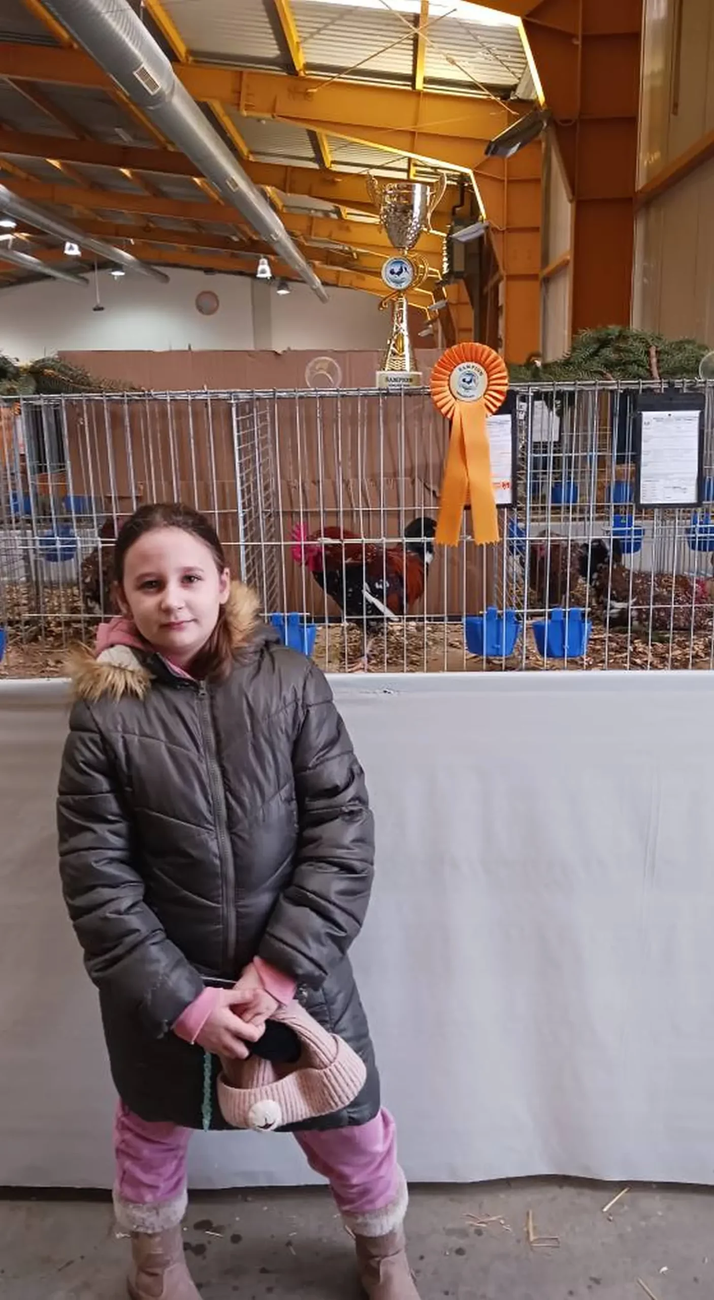 Domagoj Žeželj, Draškovec, male životinje (16)