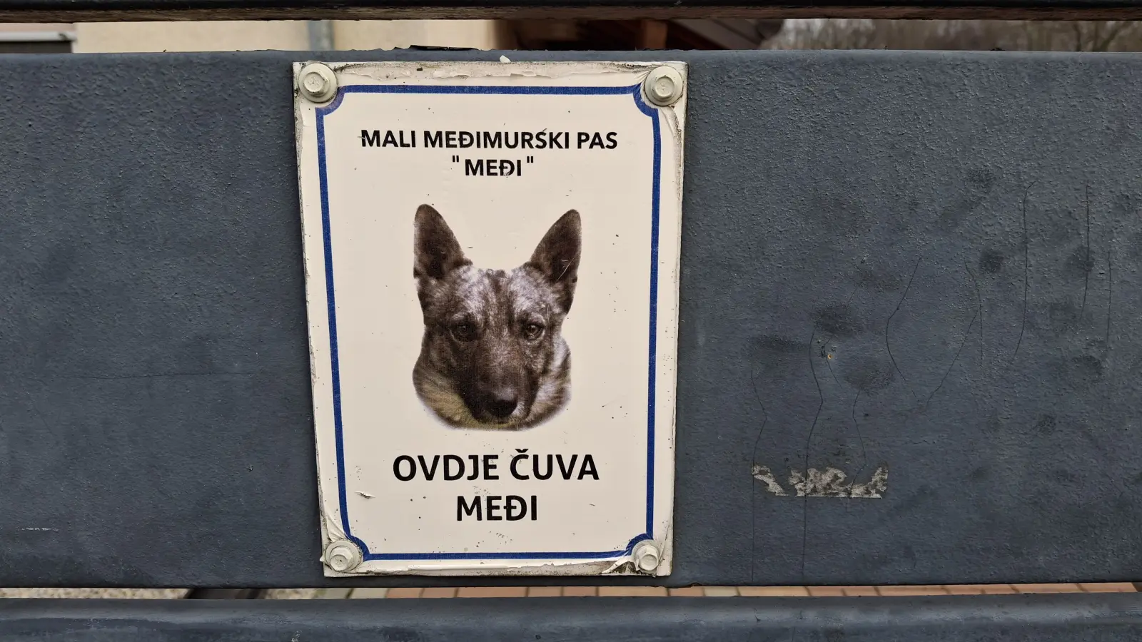 Domagoj Žeželj, Draškovec, male životinje (29)