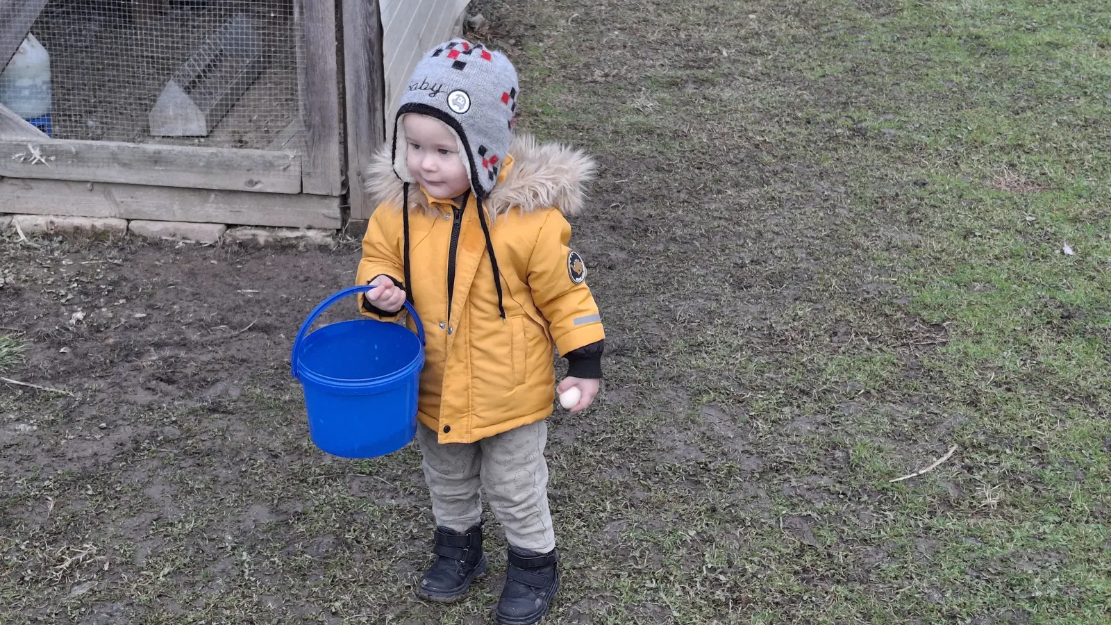Domagoj Žeželj, Draškovec, male životinje (9)