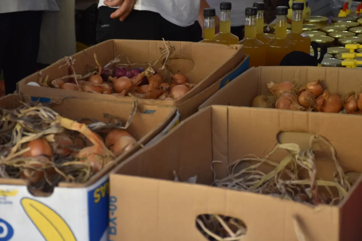 Donja Dubrava, Dani ljuka (4)