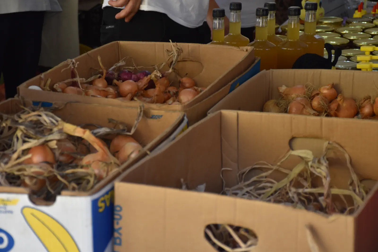 Donja Dubrava, Dani ljuka (4)