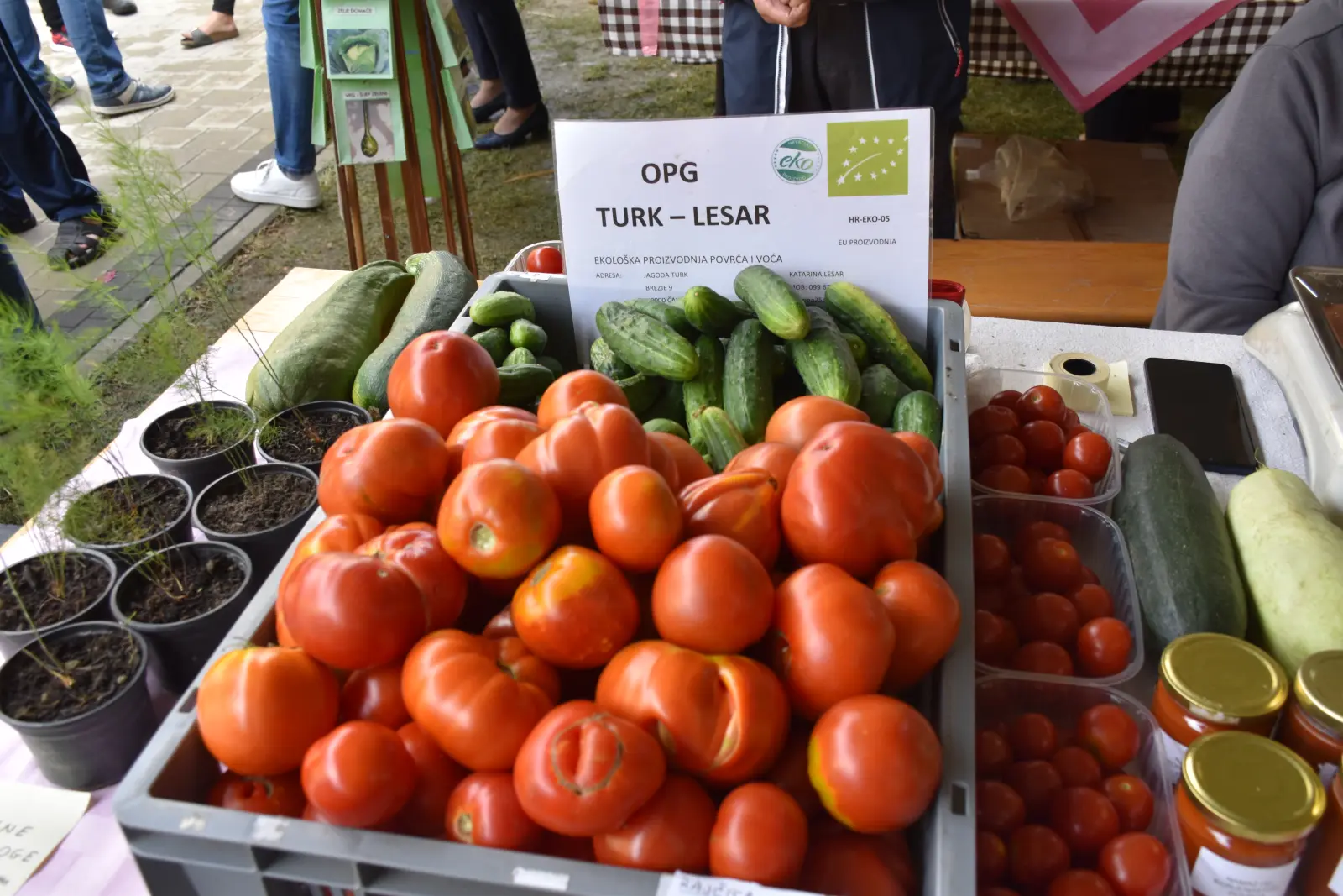 Donja Dubrava, Dani ljuka (62)