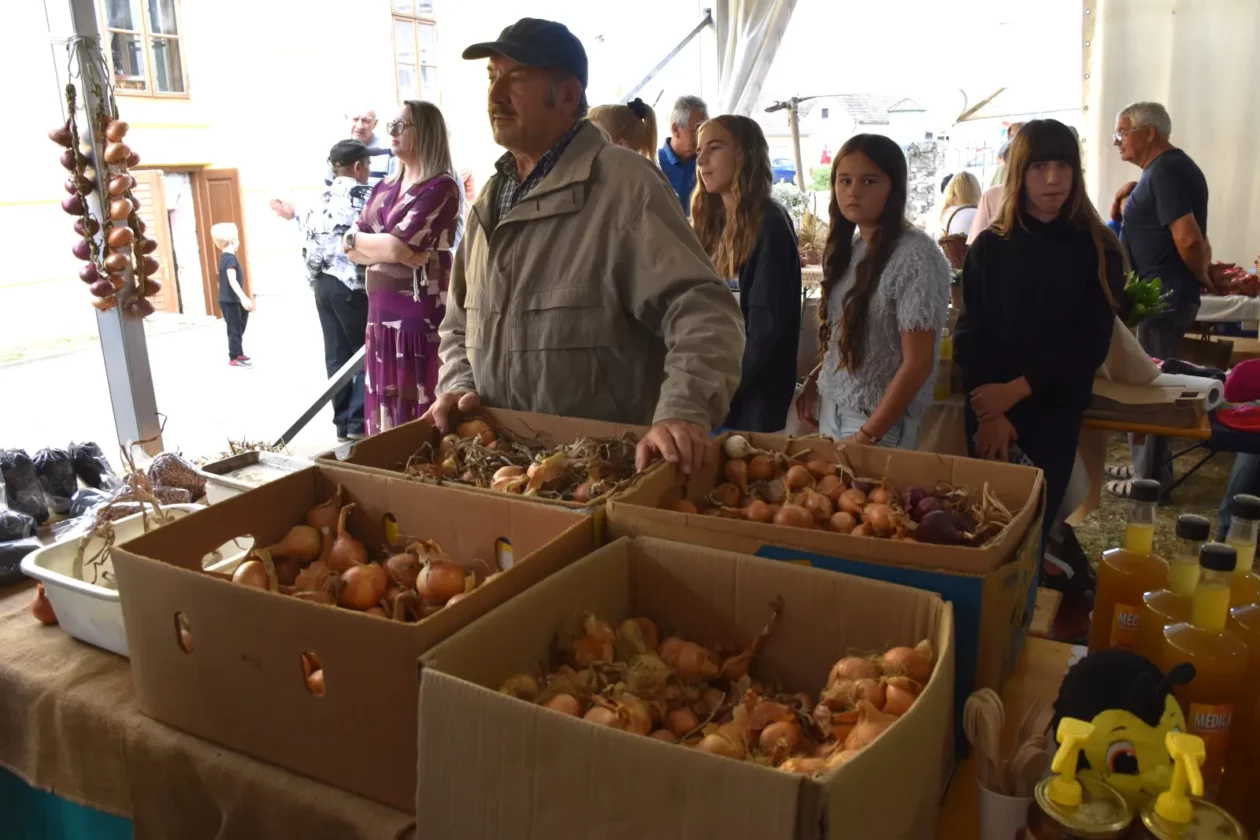 Donja Dubrava, Dani ljuka (64)