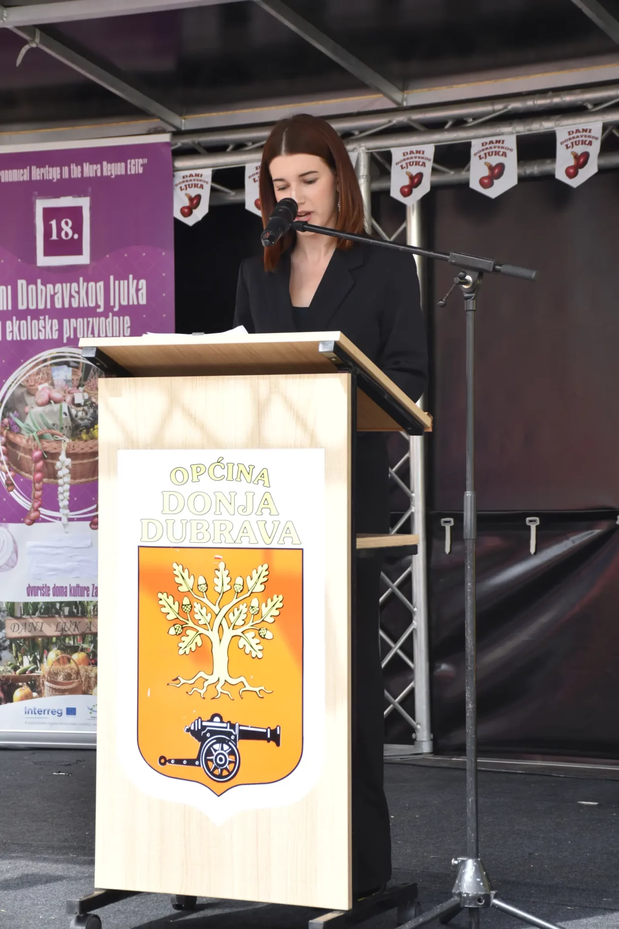 Donja Dubrava, Dani ljuka (72)