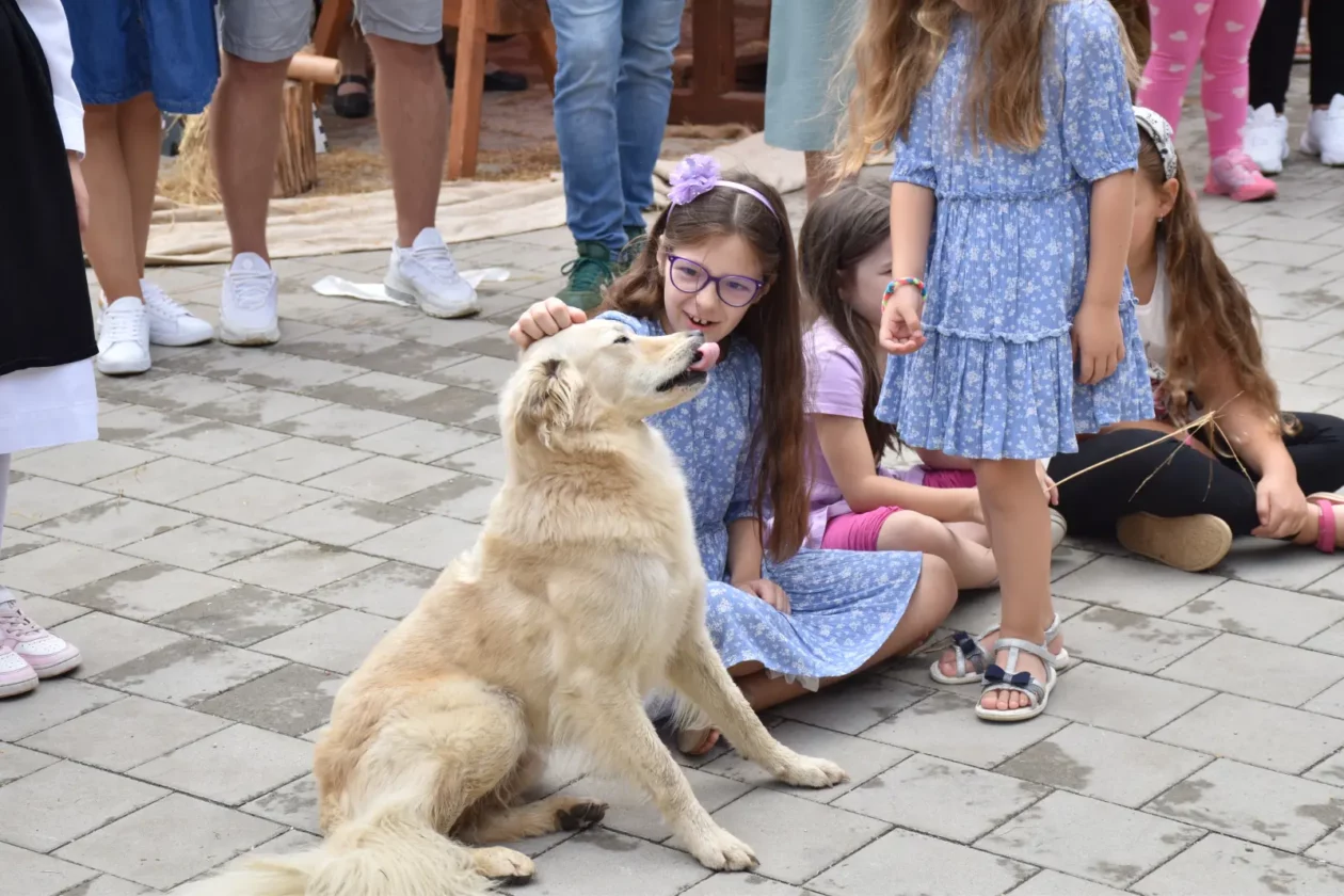 Donja Dubrava, Dani ljuka (77)