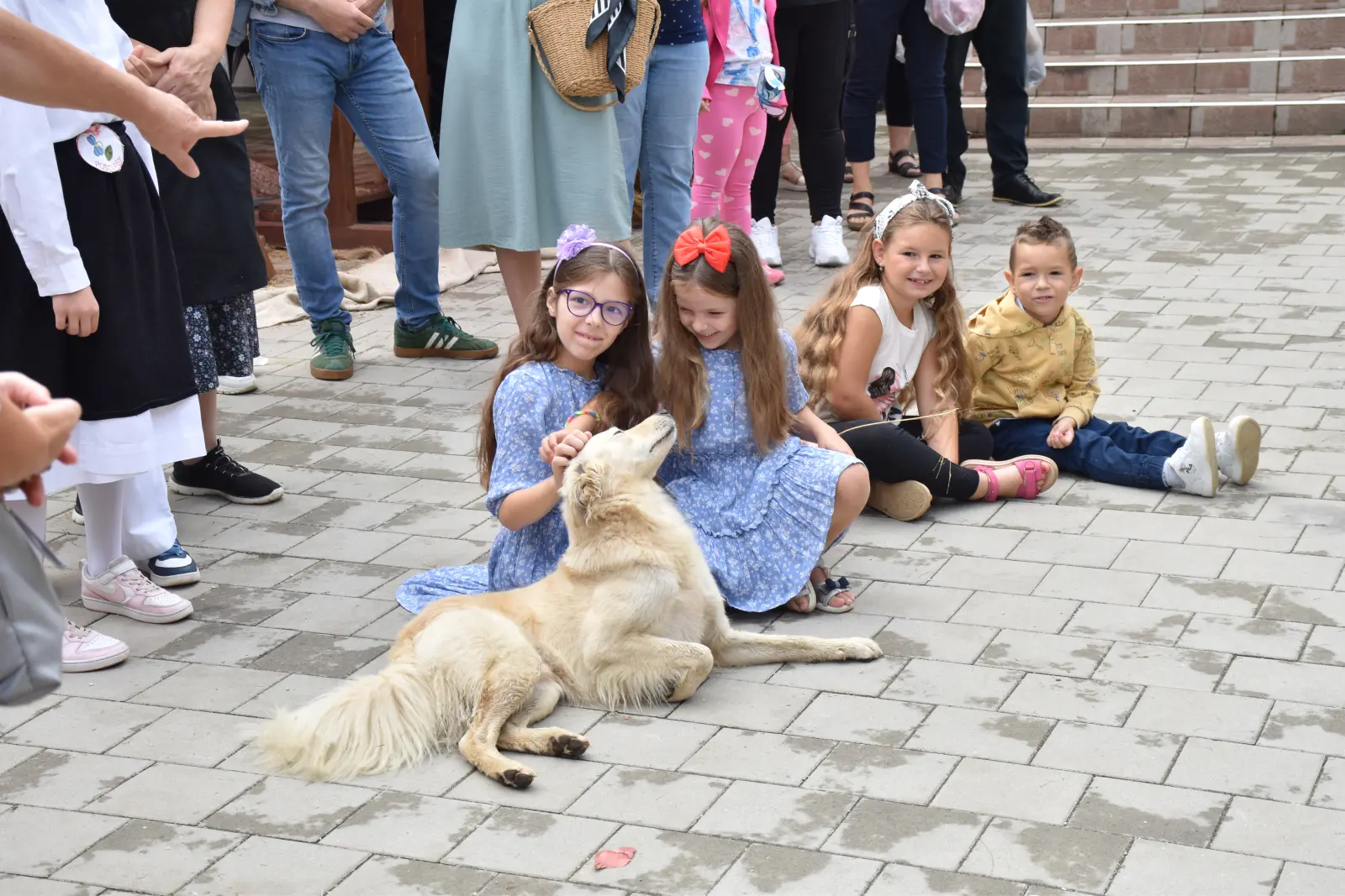 Donja Dubrava, Dani ljuka (78)