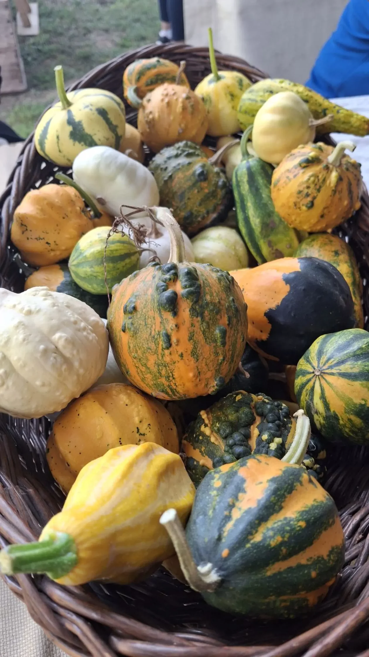 Donja Dubrava, Dani ljuka (86) Donja Dubrava, Dani ljuka (86)