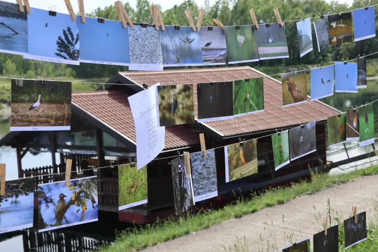 Donja Dubrava Drava se ne trži prosvjedni koncert 30.5.2026 (7) Donja Dubrava Drava se ne trži prosvjedni koncert 30.5.2026 (7)