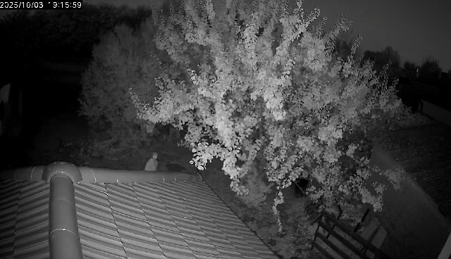 Donja Dubrava Provala stranac (1)