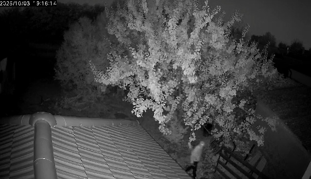 Donja Dubrava Provala stranac (3)