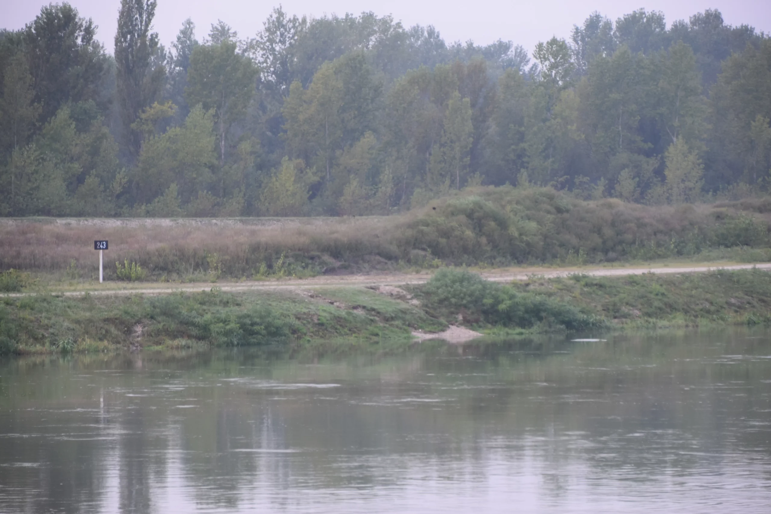 Donja Dubrava, ambrozija (2)