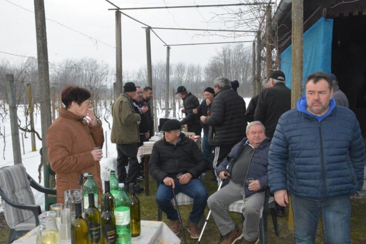 Donja Dubrava vincekov pohod 2026 (10) Donja Dubrava vincekov pohod 2026 (10)