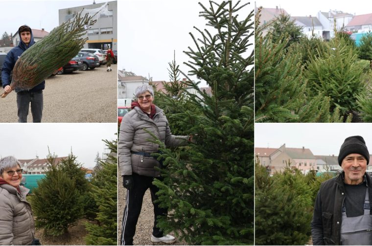 Donji Mihaljevec božićna jelka božićno drvce