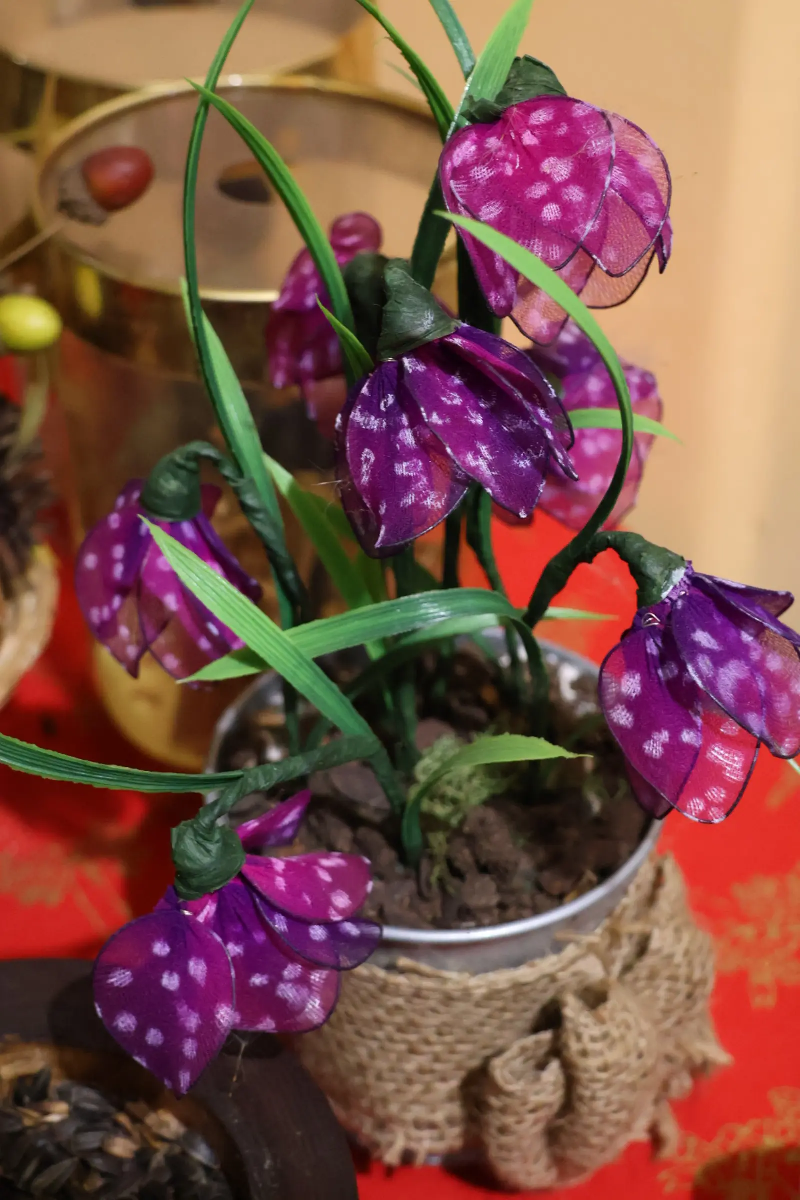 Donji Vidovec, Noć muzeja 2026 (52) Donji Vidovec, Noć muzeja 2026 (52)