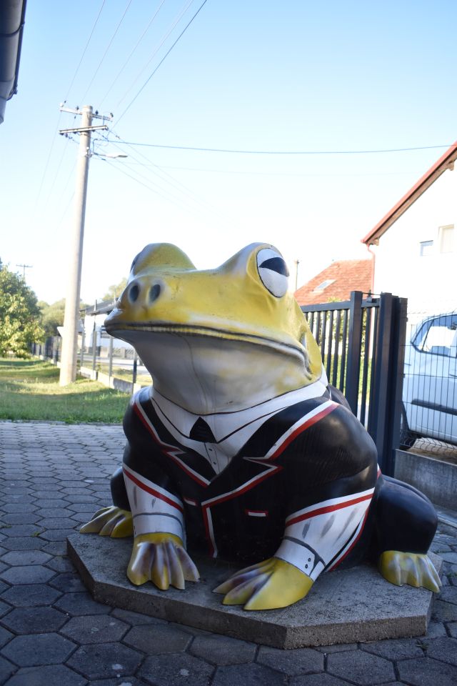 Dragutin Kukovec – žabac (1)