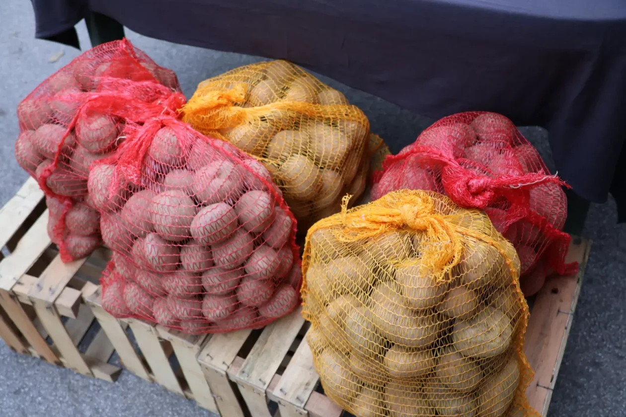 Dragutin Nađ Kotoriba (2)