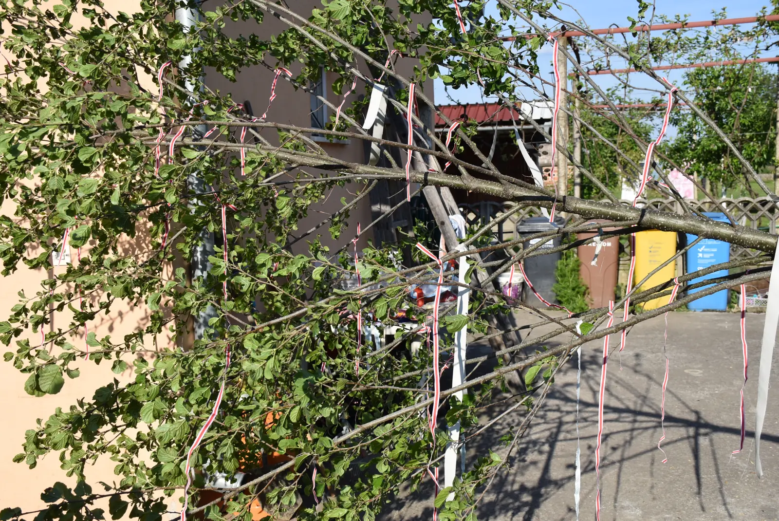 Draškovec, Majge, prvi maj, praznik rada (3)