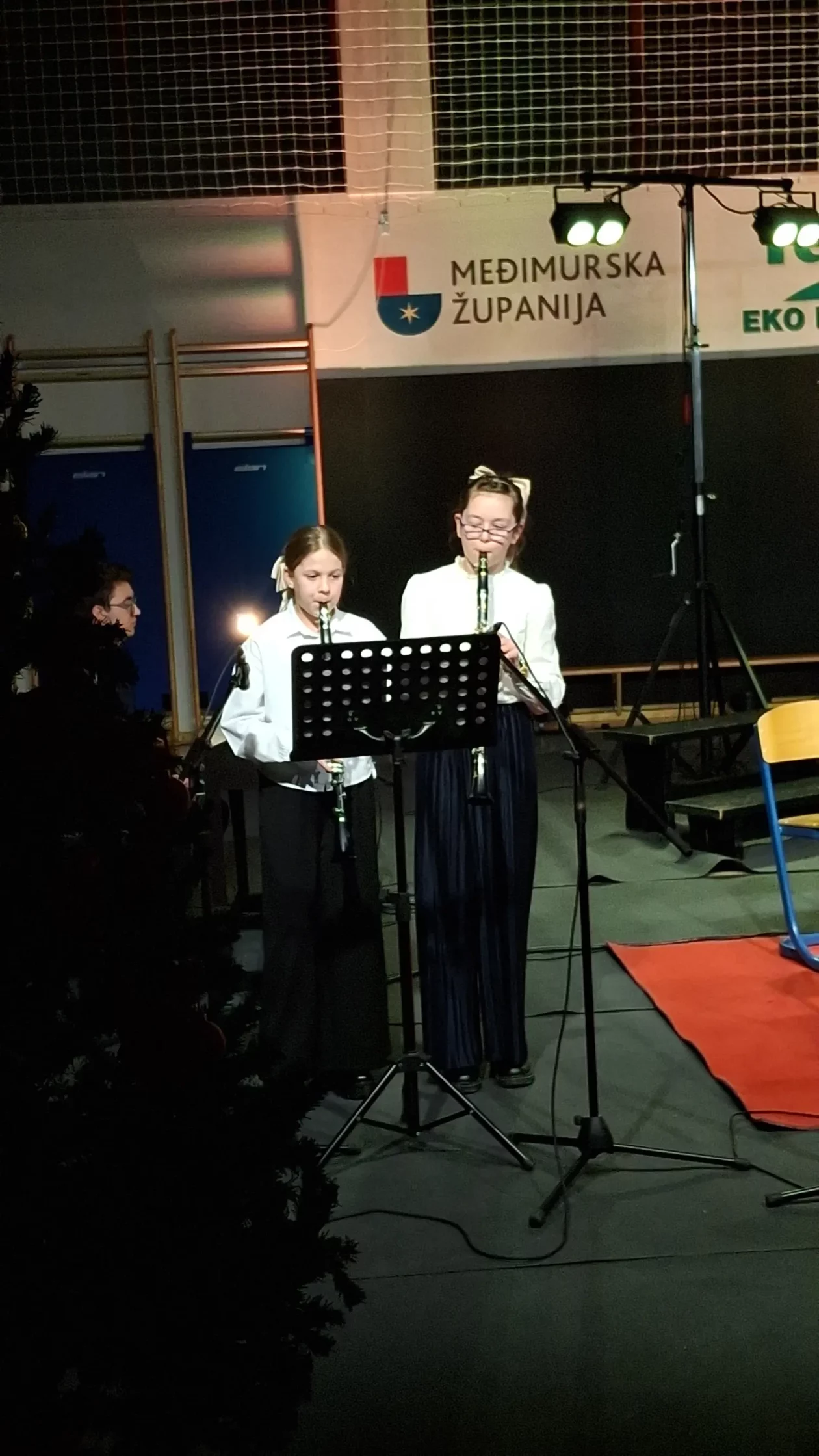 Draškovec Prijatelji svetog roka koncert Božić (1)