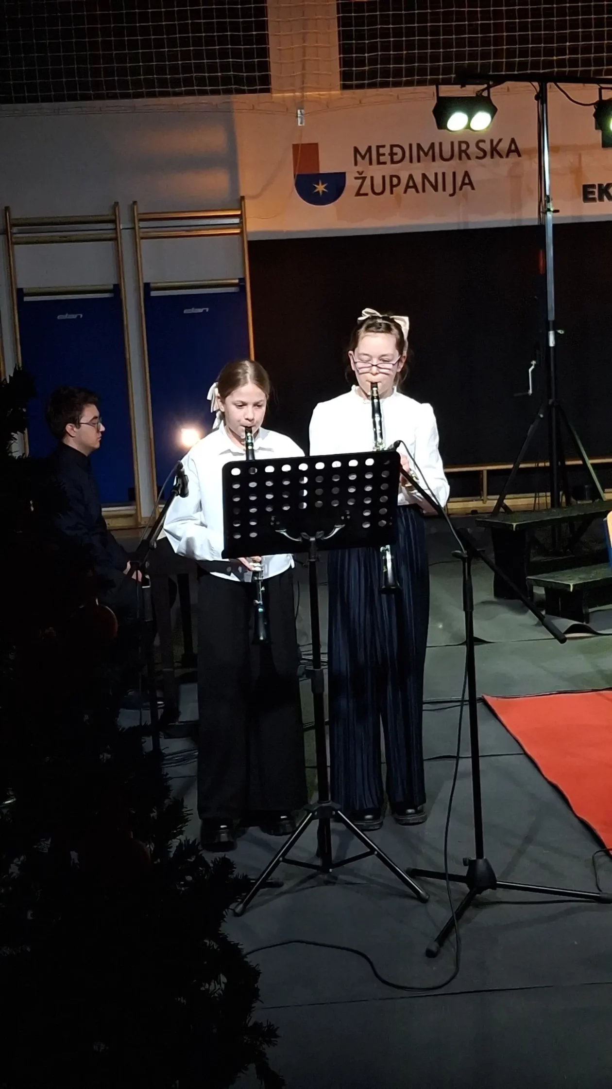 Draškovec Prijatelji svetog roka koncert Božić (2)