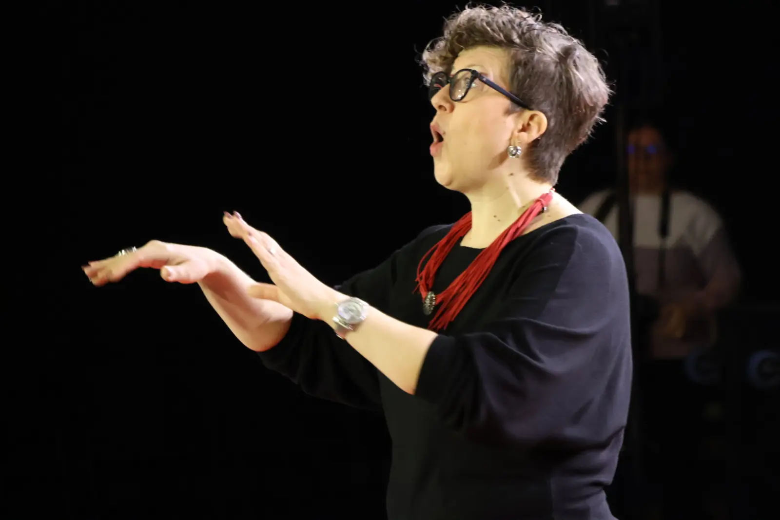 Draškovec Prijatelji svetog roka koncert Božić (20) Draškovec Prijatelji svetog roka koncert Božić (20)