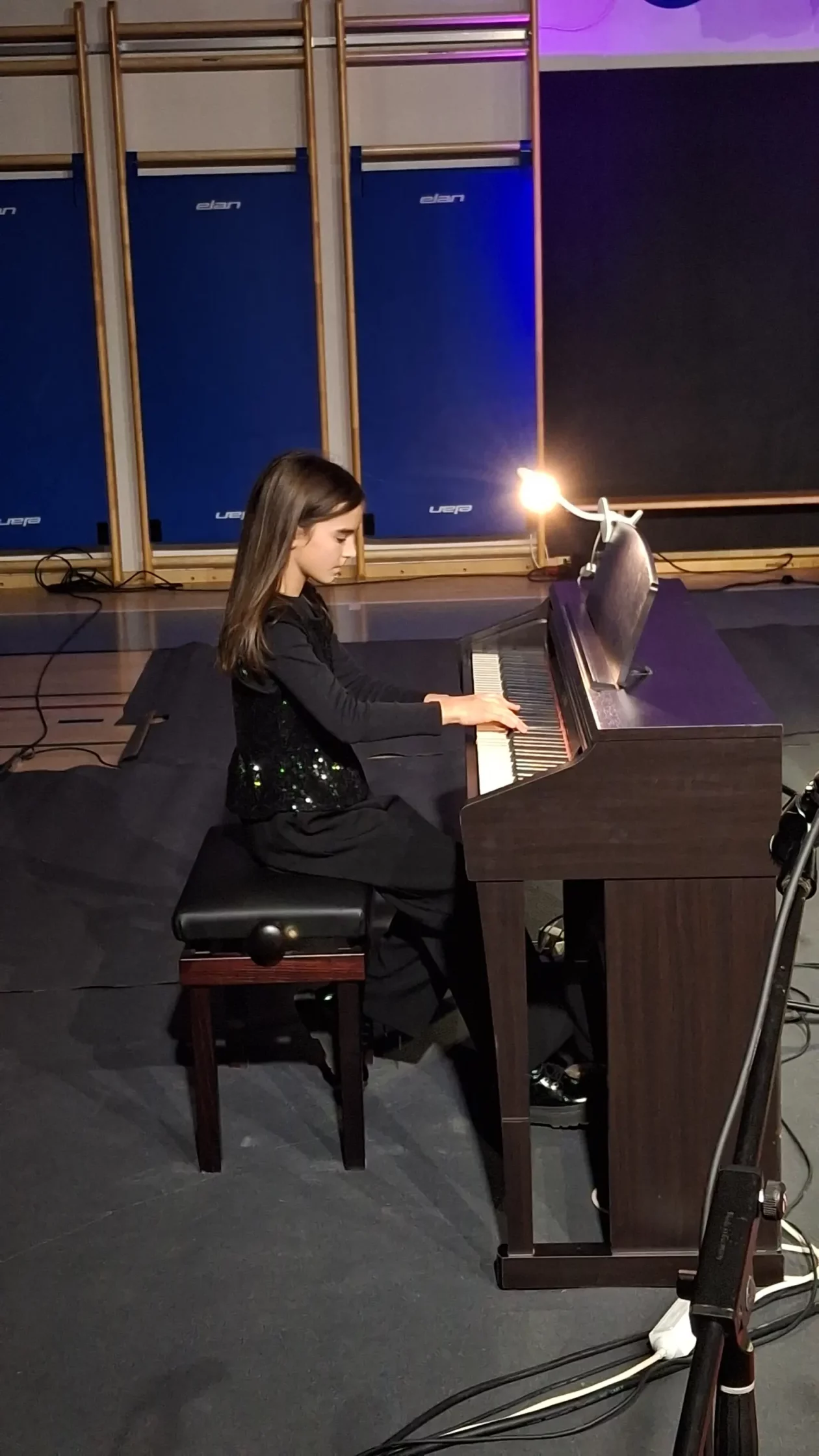 Draškovec Prijatelji svetog roka koncert Božić (3)